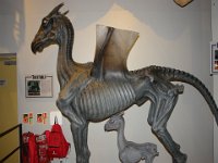 Harry Potter084