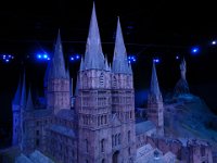 Harry Potter099